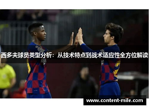 西多夫球员类型分析：从技术特点到战术适应性全方位解读