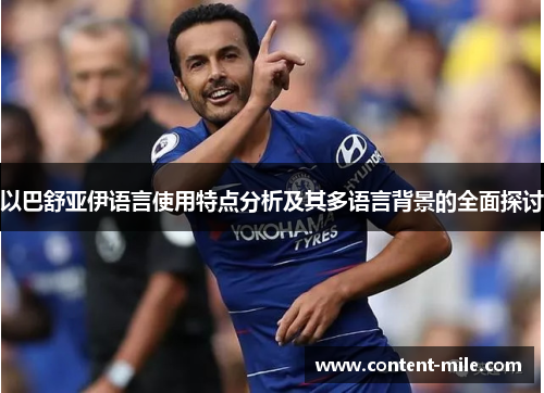 以巴舒亚伊语言使用特点分析及其多语言背景的全面探讨