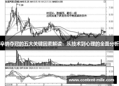 辛纳夺冠的五大关键因素解读:从技术到心理的全面分析 辛纳夺冠的五大关键因素解读:从技术到心理的全面分析