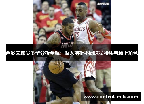 西多夫球员类型分析全解：深入剖析不同球员特质与场上角色