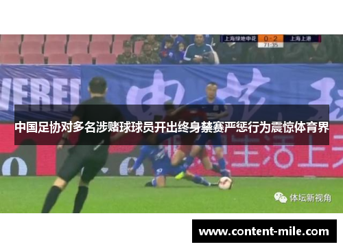 中国足协对多名涉赌球球员开出终身禁赛严惩行为震惊体育界 中国足协对多名涉赌球球员开出终身禁赛严惩行为震惊体育界